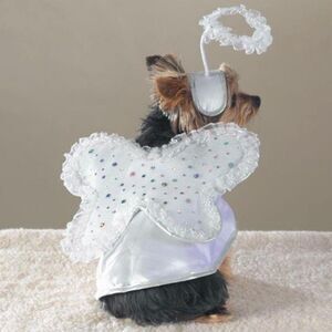 Casual Canine My Lil’ Angel Halloween Glitter Costume Size M